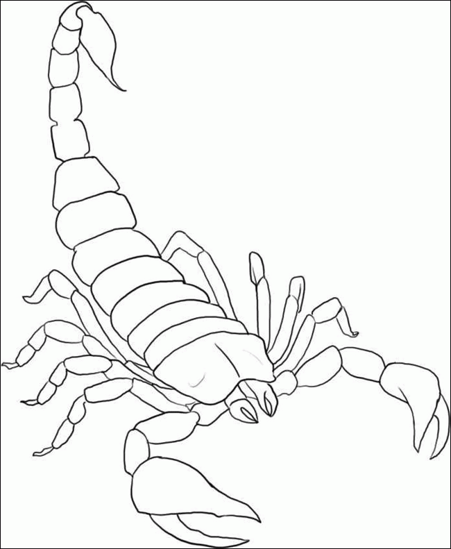 Plansa de colorat cu Scorpion 1 1